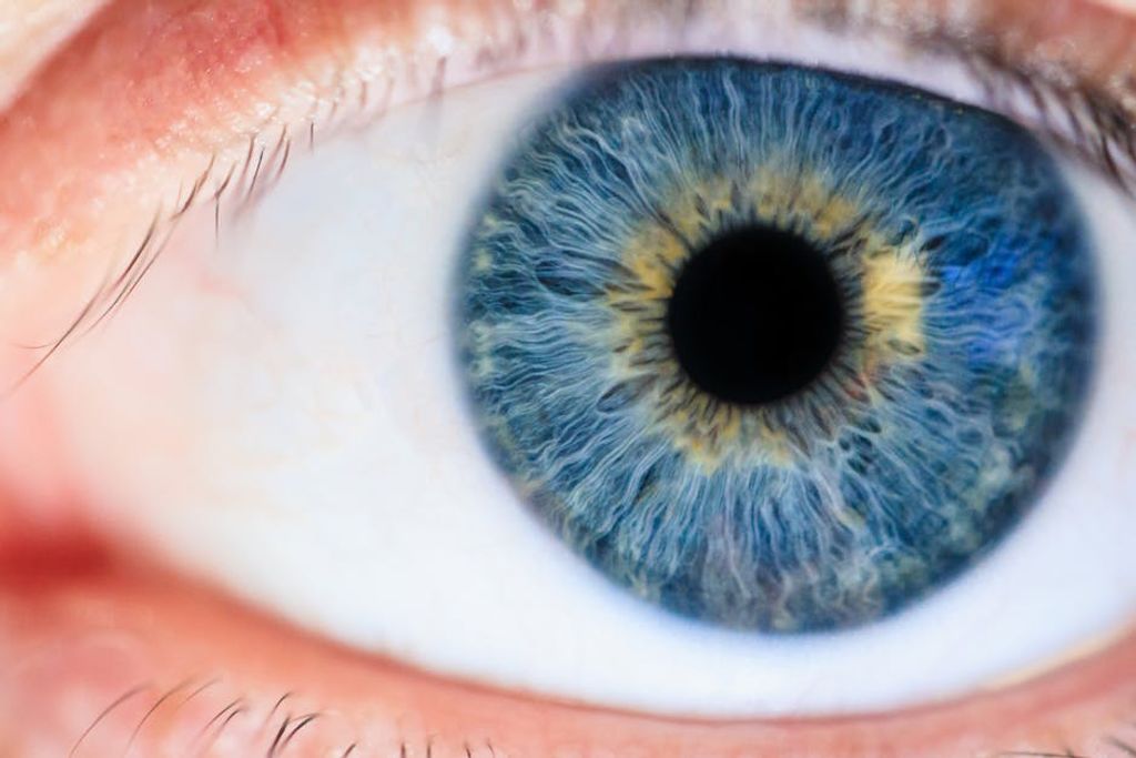 Michael Morse באתר PEXELS eye