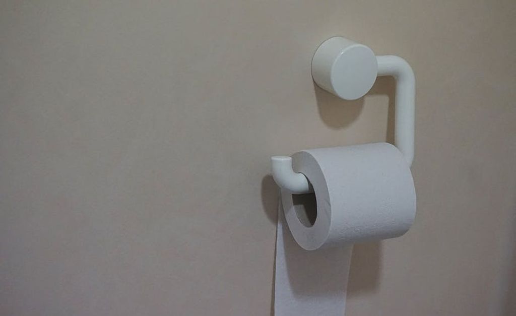 hermaion באתר PEXELS toilet